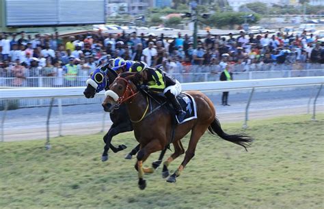SMS Pariaz Live Odds for Champ de Mars Horse Racing.